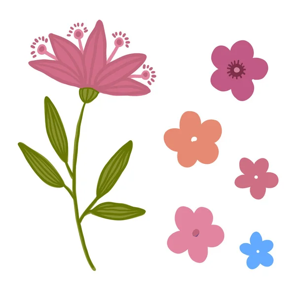 Pack Vector Floral Flores Aisladas Decorativas — Archivo Imágenes Vectoriales