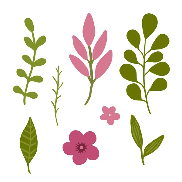 Elementos Vetoriais Florais Folhas Isoladas Decorativas Para Decoração Design Mola — Vetor de Stock