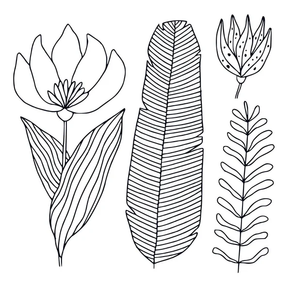 熱帯植物図 印刷可能な線画 熱帯の葉と花 花のデザインベクトル要素 ぬり絵ページ — ストックベクタ
