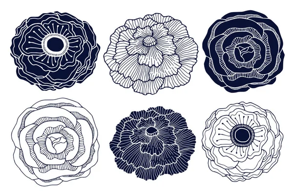 花のシルエットとリニアアートデザイン インテリアプリントパック アネモネ 牡丹の花 招待カードとブティックのロゴのための植物の花の装飾 — ストックベクタ