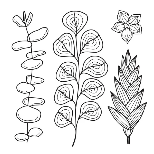 Illustration Tropisk Flora Linjekonst Eukalyptusgrenar Och Tropiska Blommor Blommiga Designelement — Stock vektor