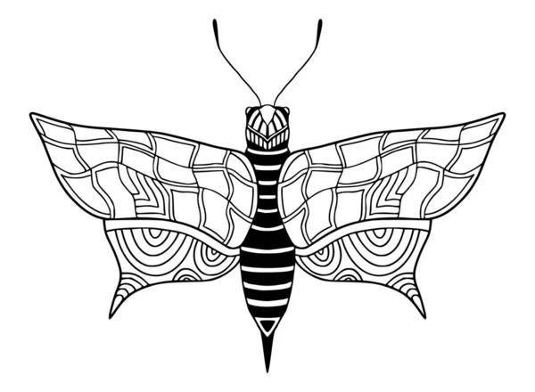 Иллюстрация Бабочки Страница Раскраской — стоковый вектор