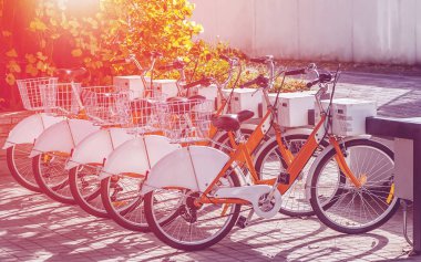 Şehir Kiralama Kiralık otopark 