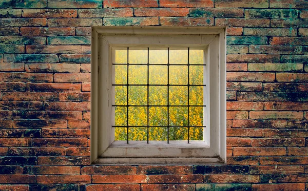 Uitzicht op tuin door raam op bakstenen muur — Stockfoto