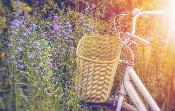 Närbild på handtaget på cykel i blomma trädgård — Stockfoto