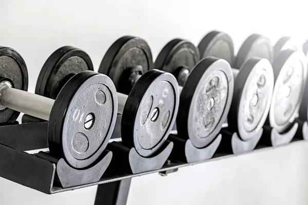 Sports dumbbells in  sports club