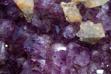 Bir Amethyst Druse yakın plan.