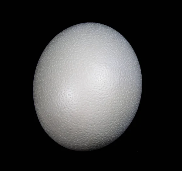 Одинокий Страусовий Яйце Ізольований Єкт — стокове фото