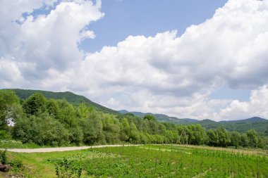 Yüksek dağlar, mavi gökyüzü, yeşil tepeler