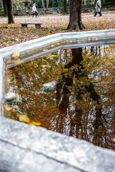 Terni Riflessi Och Natura Walking Park — Stockfoto