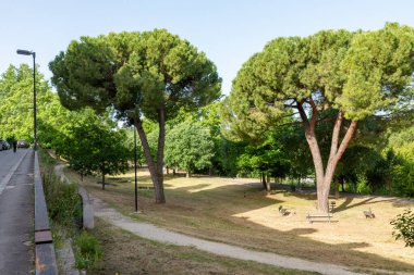 İnsanların fiziksel aktivite yaptığı park yürüyüşü