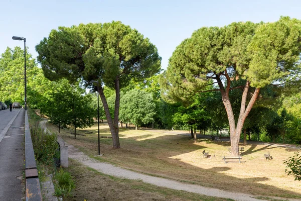 Park spacerowy, gdzie ludzie uprawiają aktywność fizyczną — Zdjęcie stockowe