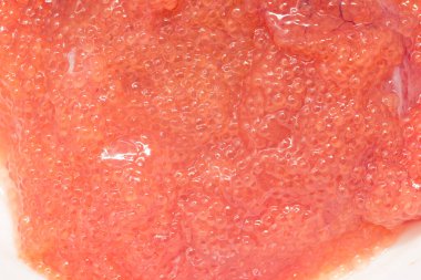 Arka plan olarak taze havyar turna balığı