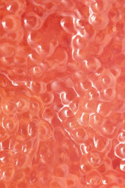 Arka plan olarak taze havyar turna balığı