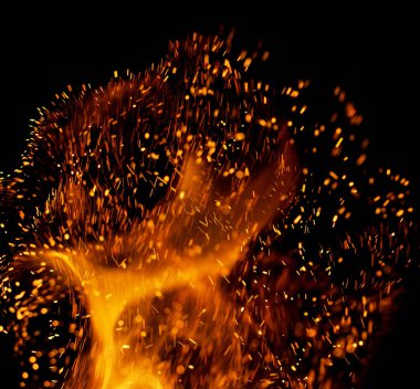 yeşil kertenkele başı bahar çimlerinde .