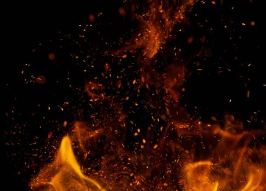 yeşil kertenkele başı bahar çimlerinde .