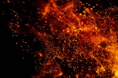 yeşil kertenkele başı bahar çimlerinde .