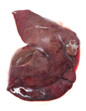 Beyaz arka planda domuz ciğeri