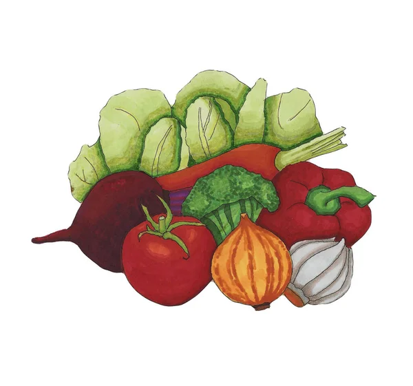 Juego Verduras Zanahorias Ajo Pimientos Rojos Cebollas Lechuga Brócoli Hecho —  Fotos de Stock