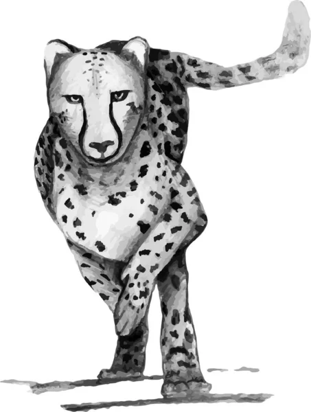 Gepard Tebe Řítí Gepard Který Běží Obrázky Pohybu Perspektivy Kreslené — Stock fotografie