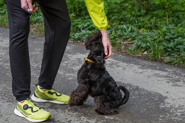 Parkta bir köpeği okşayan adam.