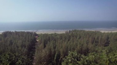 İnsansız hava aracı güneş vuruşuna karşı, kamera denize doğru ilerliyor. Denize kadar uzanan palmiye ağaçları, mavi gökyüzü, mavi su ve kıyıdaki yeşil palmiye ağaçları. güneşli bir gün