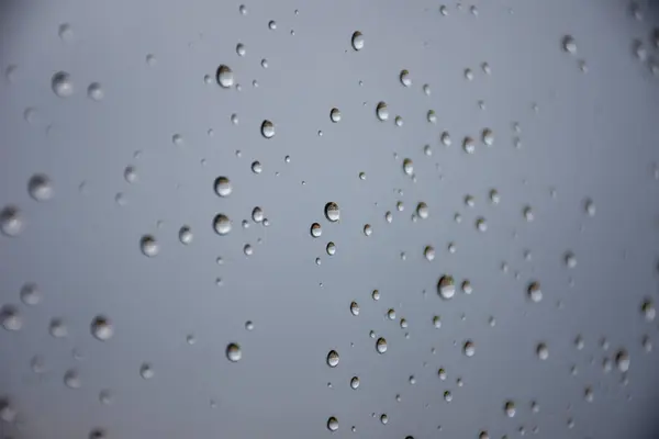 Regendruppels Glas Met Grijze Achtergrond — Stockfoto