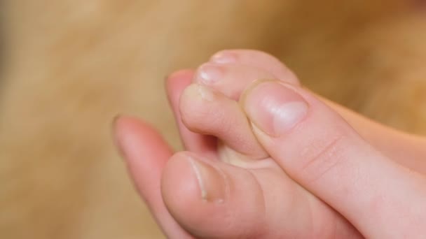 Anne banyo yaptıktan sonra oğullarının tırnaklarını iki ayak parmağıyla kesiyor. — Stok video