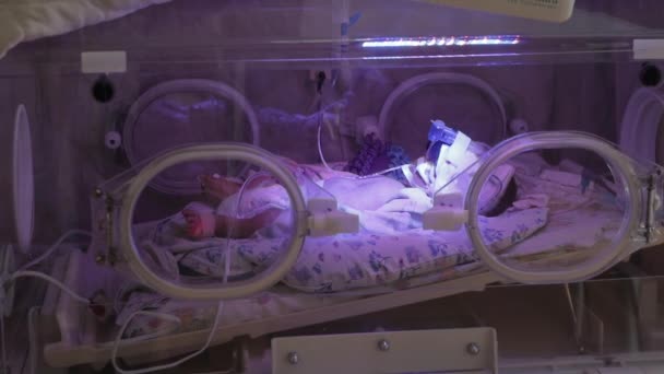 从侧面看新生儿躺在医院的婴儿床里 婴儿在医生的监护下在孵化器里 重症监护病房 — 图库视频影像