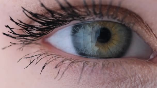 Kaukasische weibliche graue und braune Augen mit Make-up. Junge Frau schließt Augen — Stockvideo