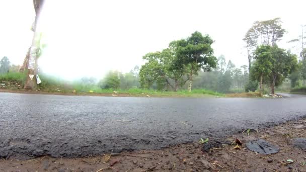 Video Yeşil Orman Manzarasının Solunda Sağında Virajlı Yolları Geçen Motosikletçilerin — Stok video