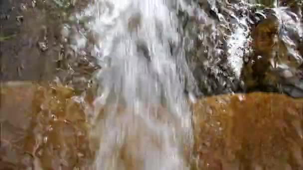 Sauberes Klares Wasser Fließt Flussgestein Und Pflanzen Die Von Der — Stockvideo