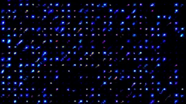 Belle vidéo abstraite qui brille avec des points, lumière vive qui régule les mouvements colorés, fond noir 