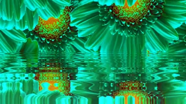 Cahaya Abstrak Terang Mengatur Warna Penuh Kaleidoskop Latar Belakang Hitam — Stok Video