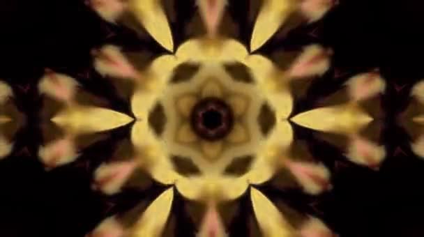 Bright Abstract Light Governing Full Color Kaleidoscope Black Background — Stock Video