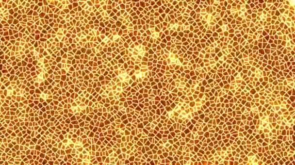 完全な色 マンダラで抽象的な幾何学的な発光縞のパターン 抽象的な金の背景の動きの写真4K 美しいフラクタルアニメーション — ストック動画