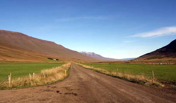 경작지와 목초지 있습니다 아이슬란드의 이리에서 끝나는 과같은 골짜기에 — 스톡 사진