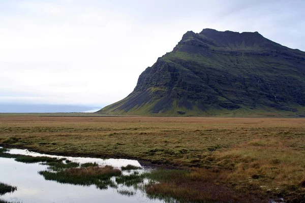 Marshland Hofn Zuidoostkust Van Ijsland — Stockfoto