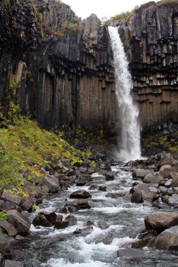 Svartifoss. İzlanda Vatnajokull Ulusal Parkı 'ndaki bazalt sütunlar arasında güzel bir şelale..