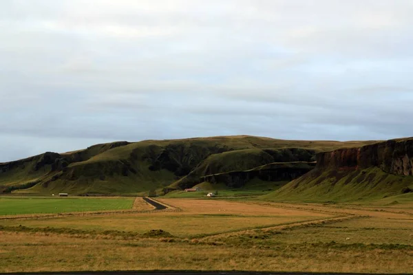 Paisagem Com Fazendas Sul Islândia Estrada Campo Cercado Com Ovelhas — Fotografia de Stock
