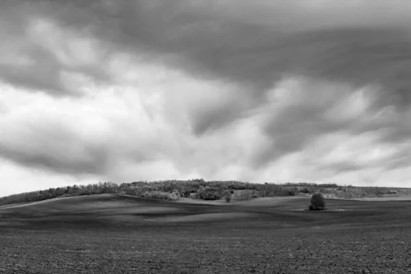 Uma Árvore Solitária Num Campo Primavera Arado Céu Dramático Sombras — Fotografia de Stock