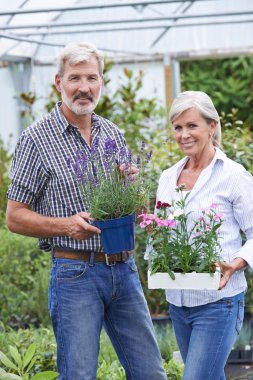 Bitkiler Bahçe Merkezi Seçme çift Olgun