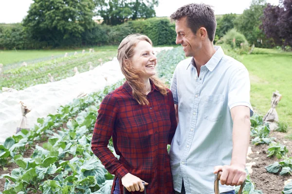 Retrato de pareja trabajando en campo de granja orgánica — Foto de Stock