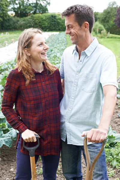 Retrato de pareja trabajando en campo de granja orgánica — Foto de Stock