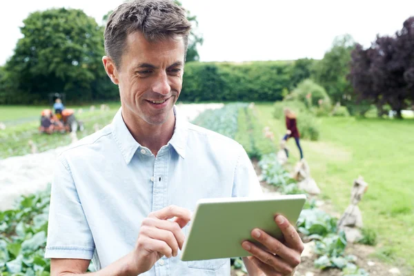 Trabajador agrícola masculino usando tableta digital en el campo —  Fotos de Stock