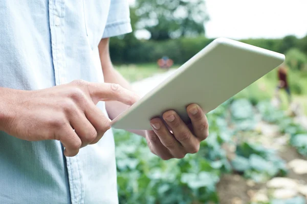 Operaio agricolo maschio che utilizza la tavoletta digitale in campo — Foto Stock