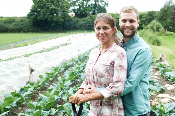 Porträtt av par som arbetar i ekologisk gård fältet — Stockfoto