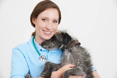 Kadın Veteriner Hekim Lurcher köpek tutarak Studio portresi
