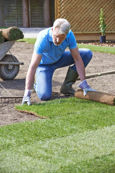 Paisaje jardinero que pone césped para el césped nuevo — Foto de Stock