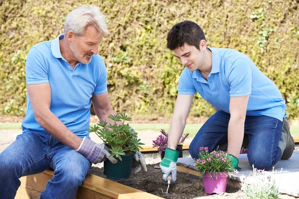 Landscape Gardeners Planting In Flower Bed — Stock Photo, Image